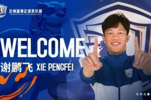 必赢体育-官宣！谢鹏飞加盟沧州雄狮：盼新赛季取得满意成绩